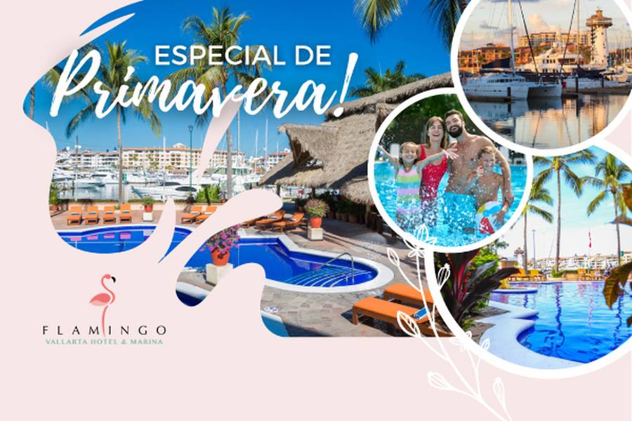 Especial primavera Flamingo Vallarta Hotel & Marina Puerto Vallarta