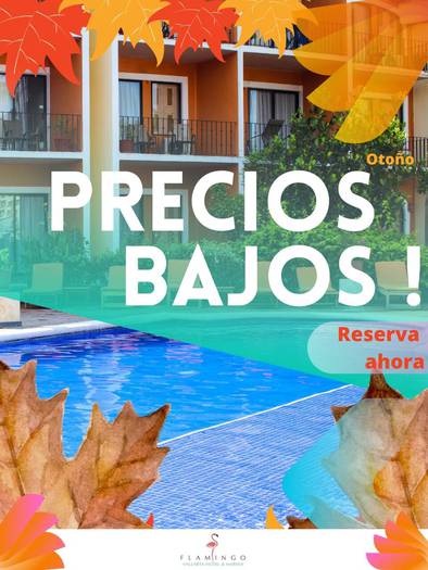Bienvenido otoño! flamingo vallarta hotel & marina puerto vallarta Bienvenido otoño! flamingo vallarta hotel & marina puerto vallarta